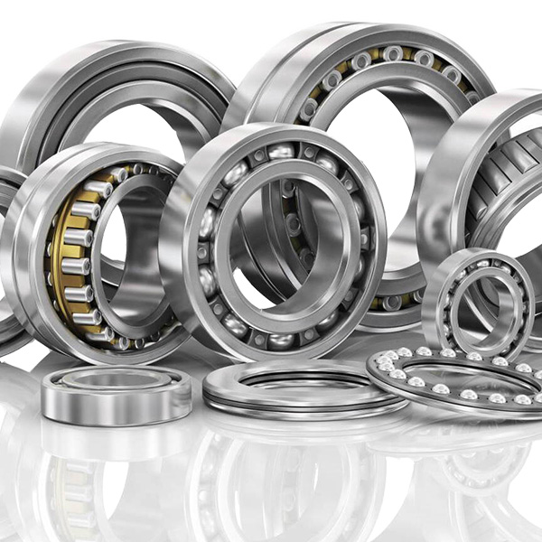 Introduction: the Bearing manufacturer